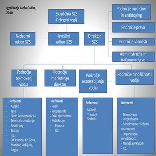 Organingram SZS - Aleš Guček
