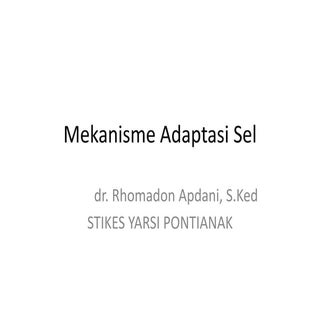 Organisasi sel   naufal