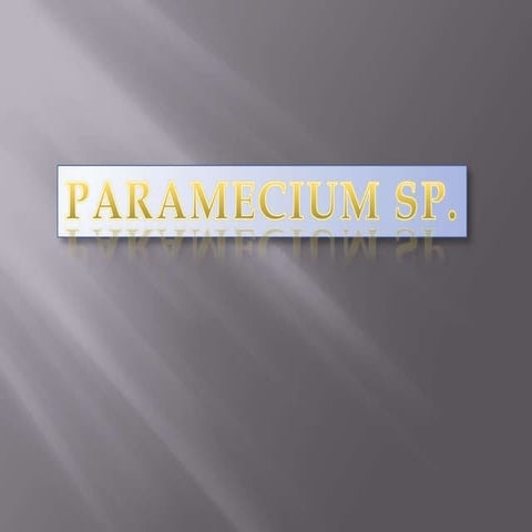 Organisasi sel  paramesium (azali)