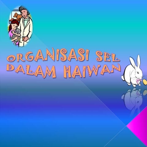 Organisasi sel  tisu (farah)