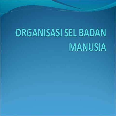 Organisasi sel badan manusia