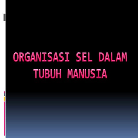 Organisasi sel dalam tubuh manusia