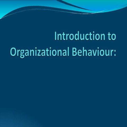 Organisatioal Behaviour