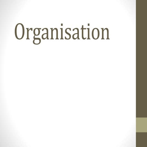 What Is Organisation?