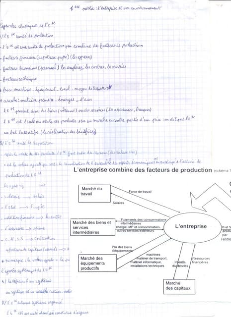 Organisation 1ére année lycée