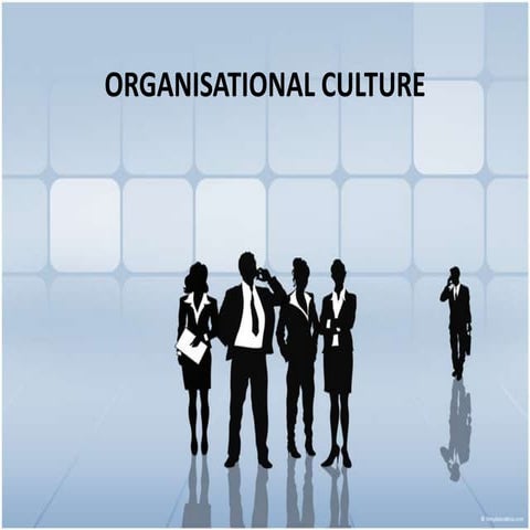 Organisational culture