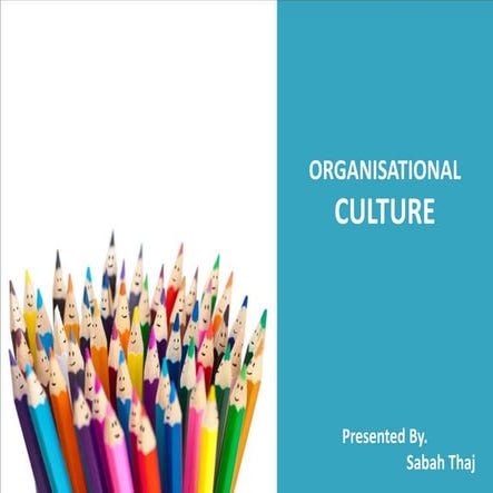 Organisational culture (1)