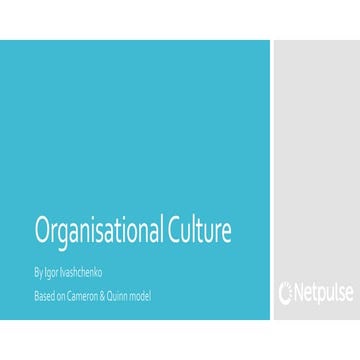 KYIV PM CLUB 25.01 Igor Ivashchenko - Cultures: Management and My Personal Mo...