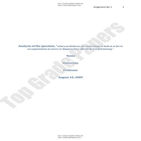 Organisational diagnosis for effective functionality   academic essay assignm...