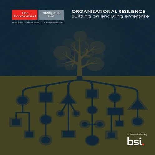 Organisational resilience