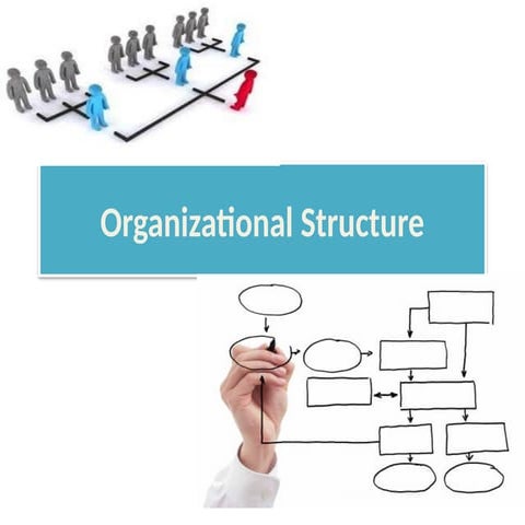 Organisational Structure with advantages and disadvantages.