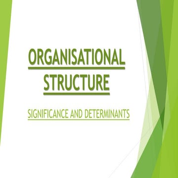 ORGANISATIONAL STRUCTURE ppt.pptx