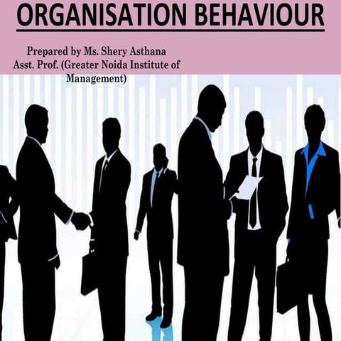 Organisation Behaviour 
