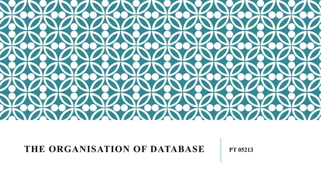 Organisation of database vs Organisation of database