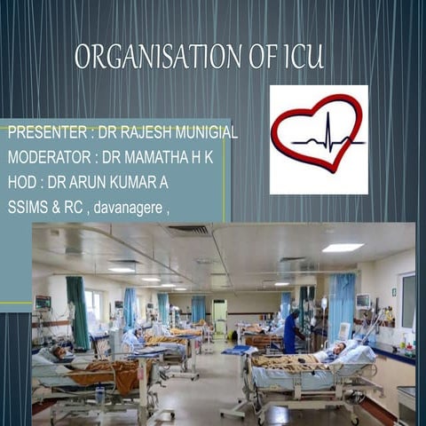 Organisation of icu