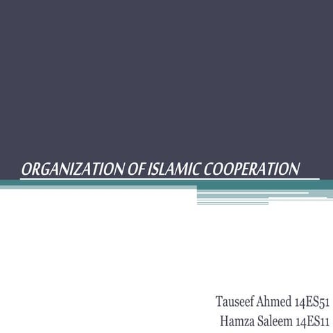 Organisation of islamic coorporation