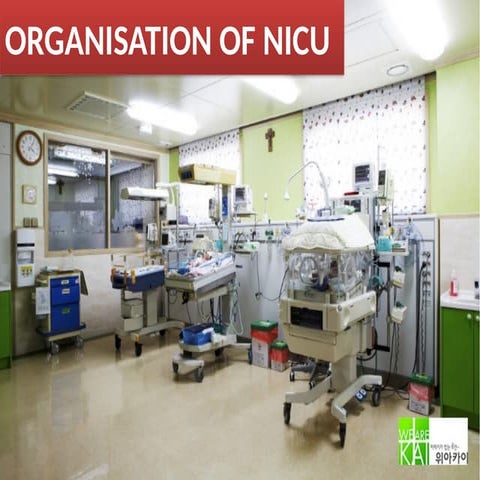 neonatal environment | PPTX