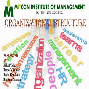 Organisation structure