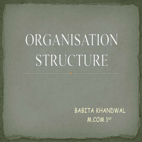 Organisation structure