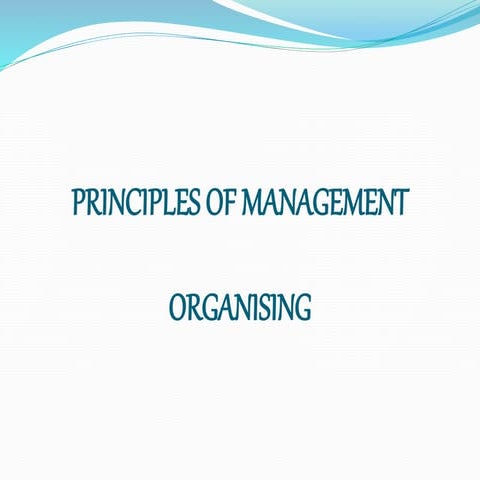 Principles Of Management-Organising