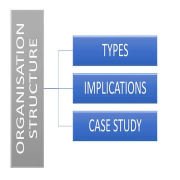 Organisation structure