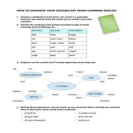 Organising vocabulary