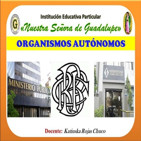 Organismos constitucionales autónomos