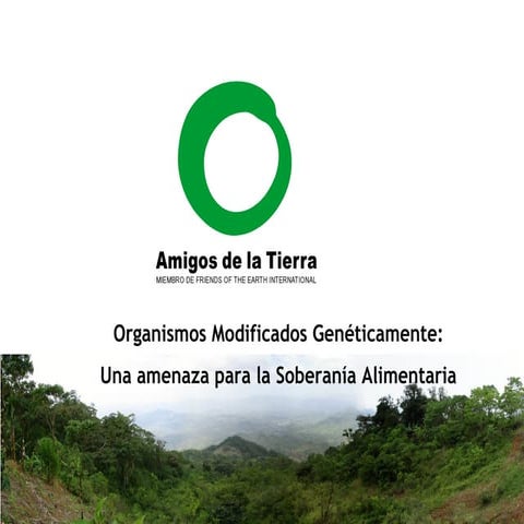 Ecoflor. Organismos modificados genéticamente blanca amigos de la tierra 