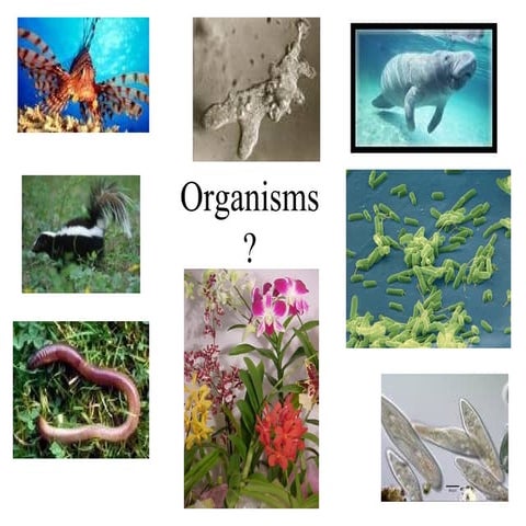 Unicellular and Multicellular Organisms 