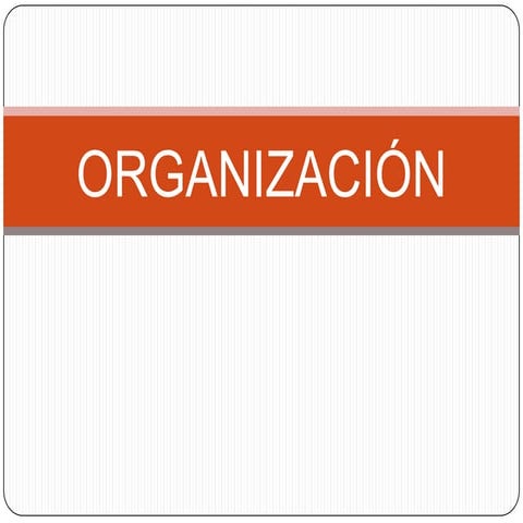 ORGANIZACION