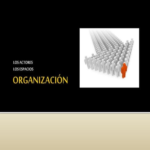 Organización