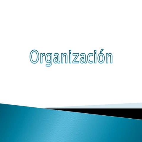 Organización