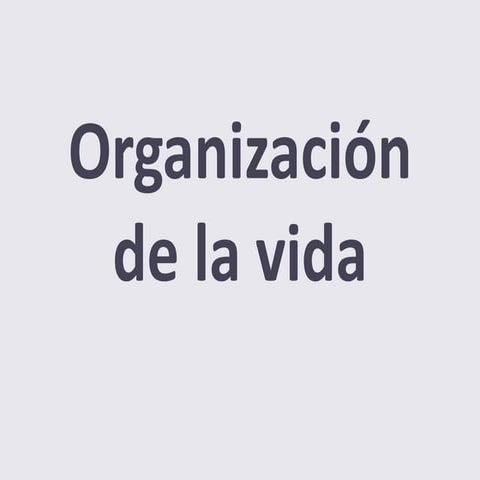 Organización de la vida
