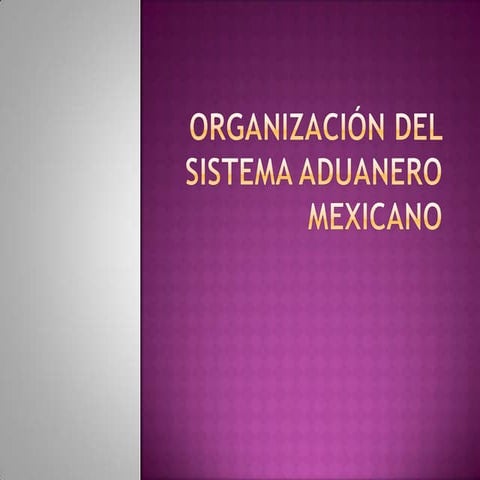 Organización del sistema aduanero mexicano