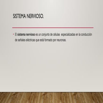 ORGANIZACIÓN_DEL_SISTEMA_NERVIOSO[1].pptx