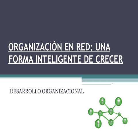OrganizacióN En Red
