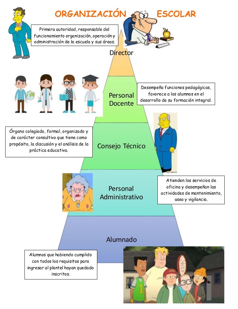 Organización escolar de educación básica Organización escolar de educación básica