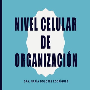 Organización estructural del organismo humano