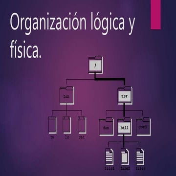 Organización lógica y física.