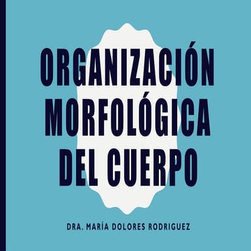 Organización morfológica del cuerpo humano
