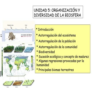 Organización y diversidad de la bio...