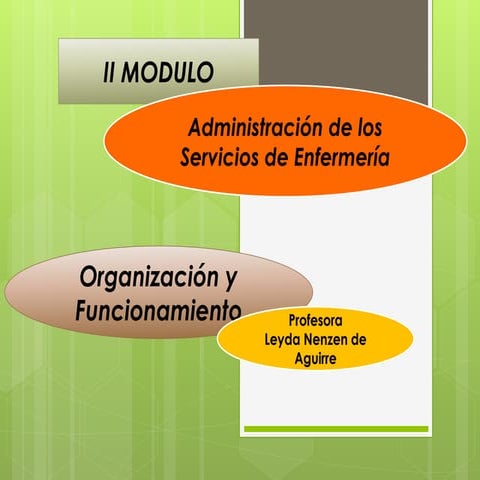Organización y funcionamiento en enfermería