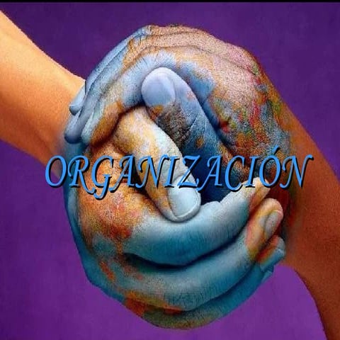 Organizacion