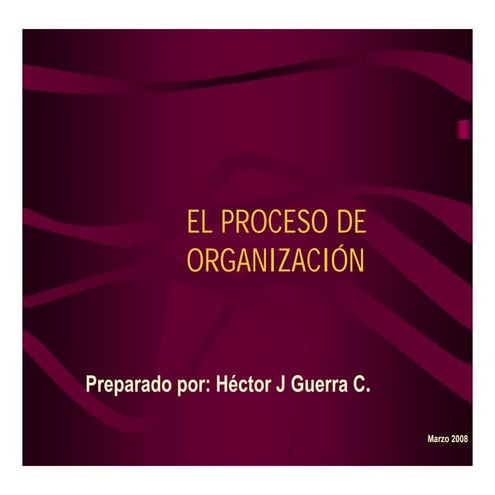 Organizacion Presentaciondic2008