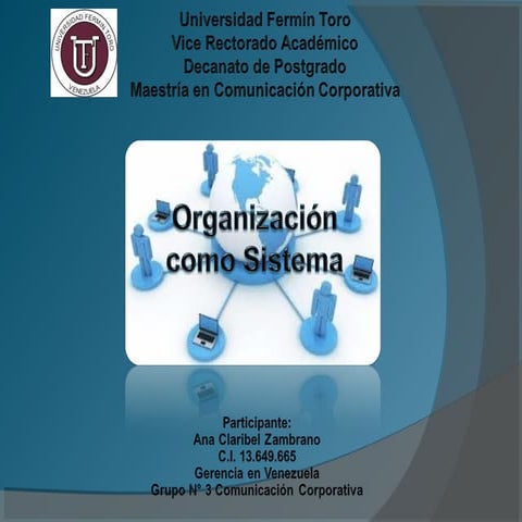 Organizacion como sistema