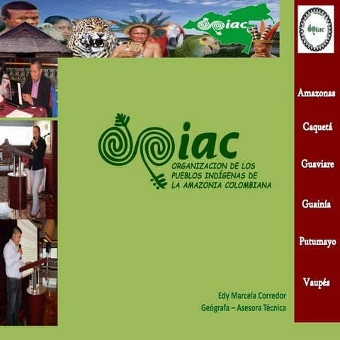 Organizacion de los pueblos indigenas de la amazonia colombiana