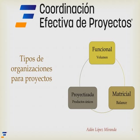 Organizaciones para proyectos y la PMO | PDF