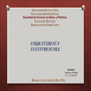 Organizacion institucional aleannys