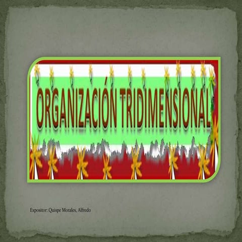 Organizacion tridimensional