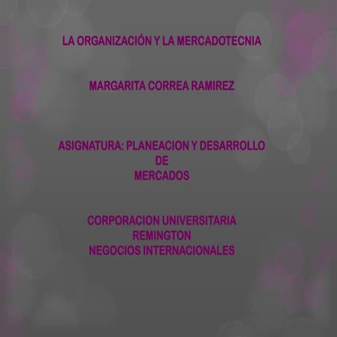 Organizacion y mercadotecnia